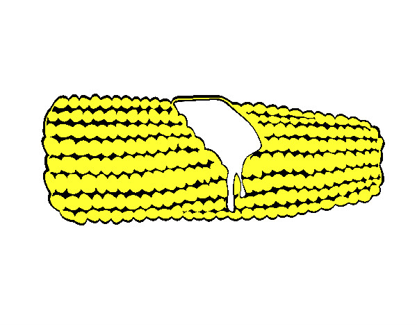 Desenho Espiga de milho  pintado por mgorates