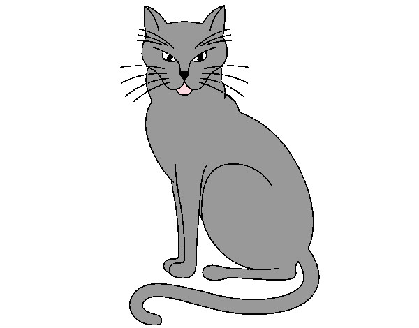 Desenho de um gato cinza - Páginal Inicial