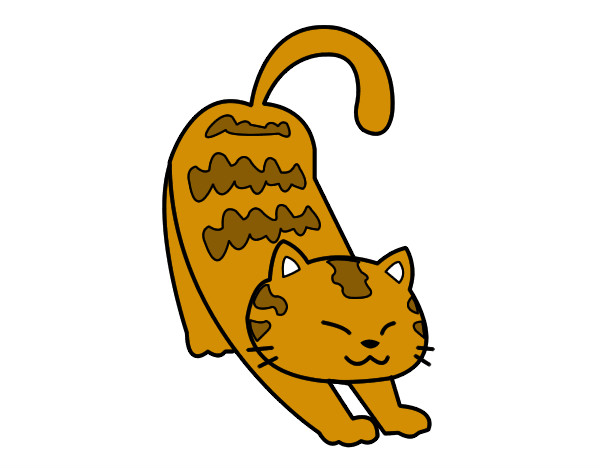 Desenho de gato siamês colorido, desenho de gato gatinho dos desenhos  animados, desenhos ani…