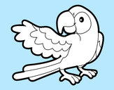 Desenho Papagaio abrir a asa pintado por wlamir
