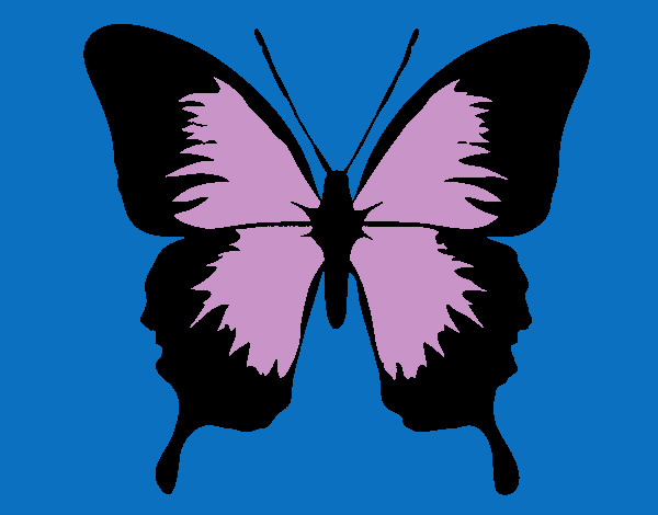 Desenho Borboleta com asas negras pintado por bela