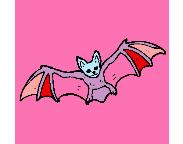 Desenho de Morcego a voar para Colorir - Colorir.com