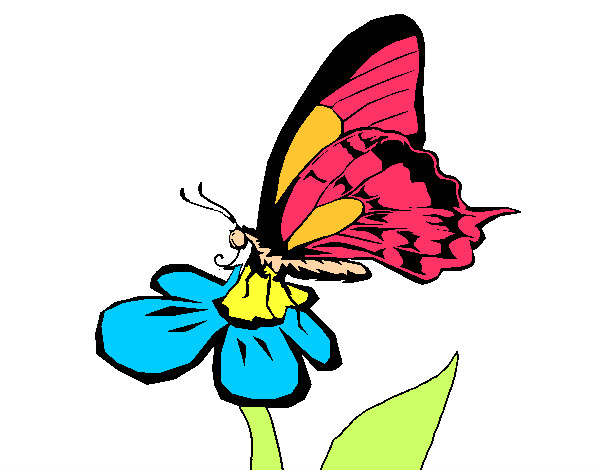 Desenho Borboleta numa flor pintado por fofifabi