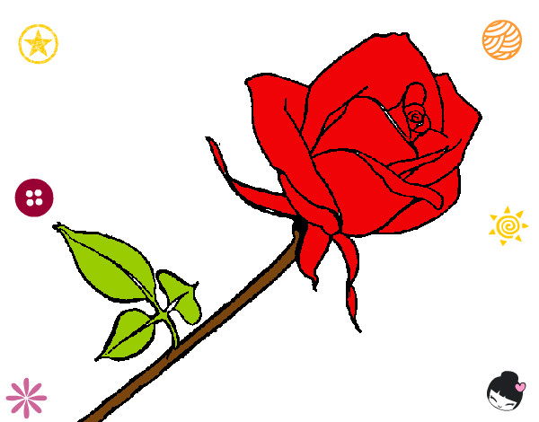 Desenho Rosa pintado por lelekadias