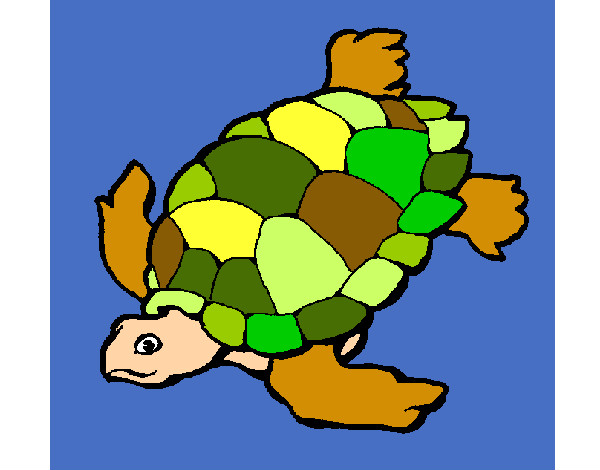 tartaruga marinha tiamax