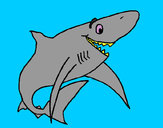 Desenho Tiburão alegre pintado por Ruben