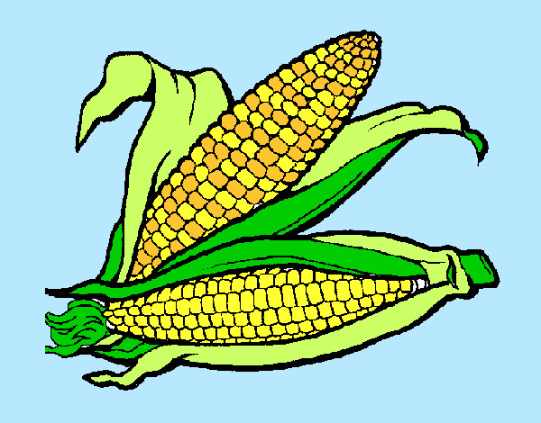 Desenho Espiga de milho  pintado por Hillary 