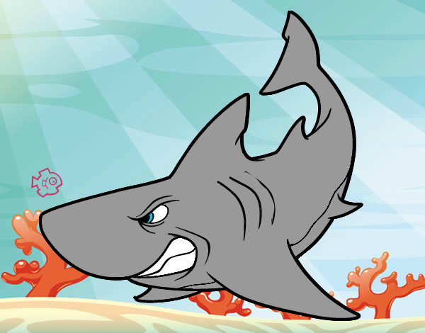 Desenho Tubarão furioso pintado por Soso