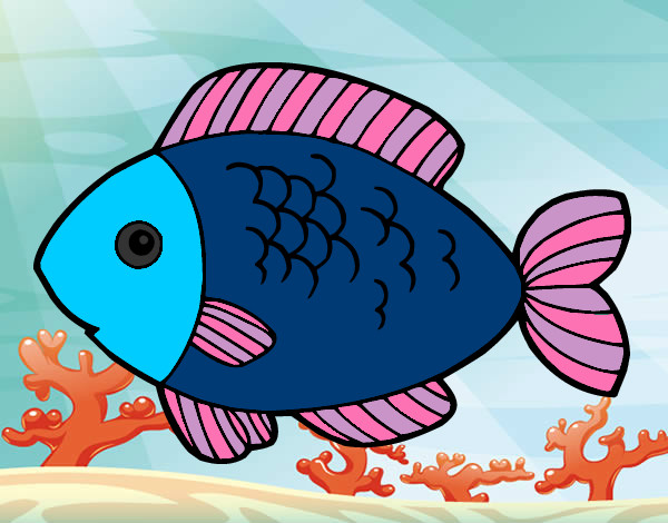 Featured image of post Peixes Coloridos Peixe Para Imprimir Animais imagens desenhos desenhos de peixes para colorir