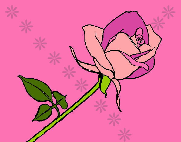 Desenho Rosa pintado por aninha10