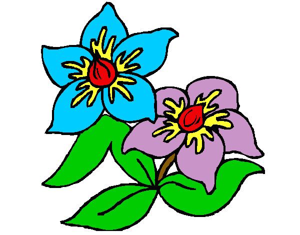 Desenho de Flor 3 pintado e colorido por Wanessa o dia 06 de Fevereiro do  2012