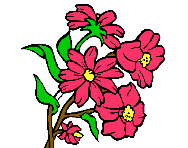 Desenho Flores pintado por rosa