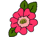 Desenho Narciso pintado por rosa