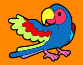 Desenho Papagaio abrir a asa pintado por Nilza