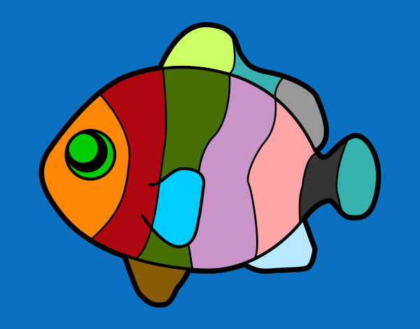 Desenho de Peixe-palhaço pintado e colorido por Marlibebel o dia 05 de  Julho do 2012