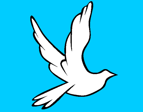 Desenho Pomba da paz a voar pintado por rainara