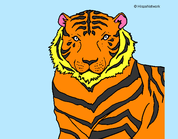 Desenho Tigre pintado por SOFIAV