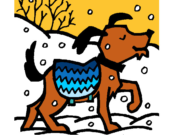 cachorro na neve