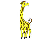 Desenho Girafa pintado por izad