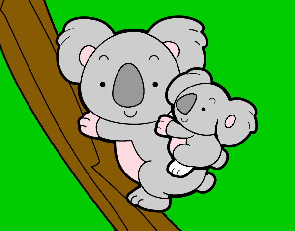 mamãe coala e seu filhote