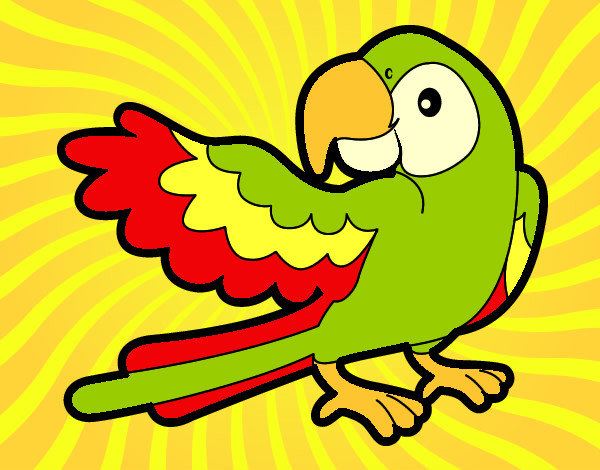 Desenho Papagaio abrir a asa pintado por sandra23