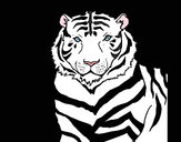 Desenho Tigre pintado por Felipe