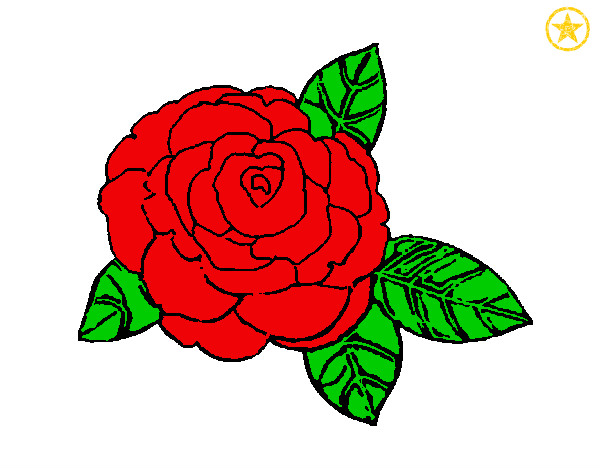 Desenho de Rosa pintado e colorido por _jacson_1 o dia 08 de Maio do 2012