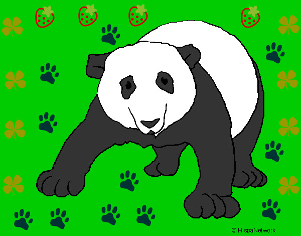 Desenho Urso panda pintado por thaysekaua