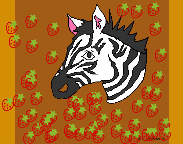 Desenho Zebra II pintado por sabrinamik