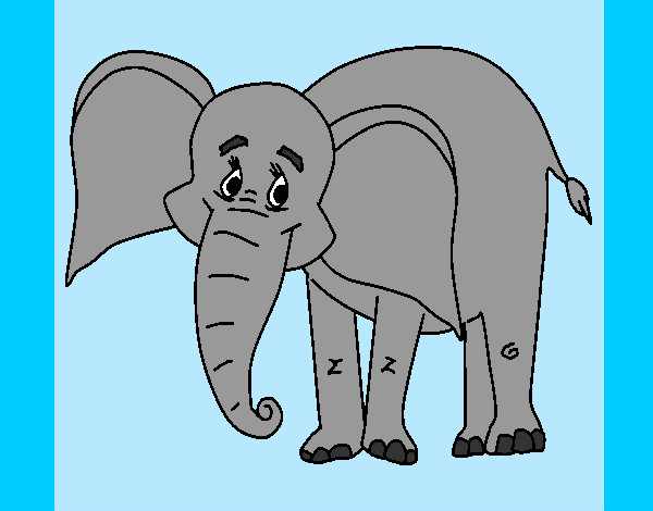 elefante feliz