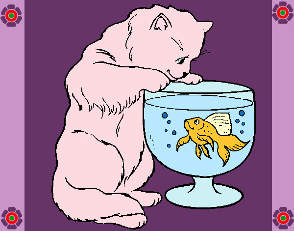 Desenho Gato a olhar para o peixe pintado por lorrane
