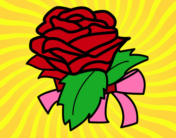 rosa flor
