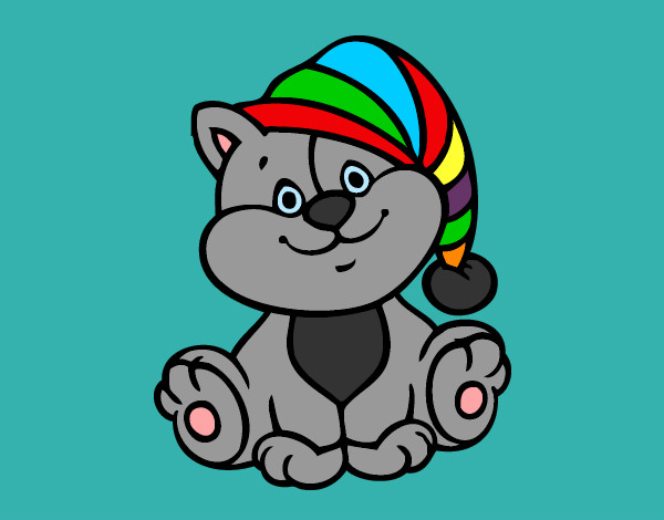 Desenho Gato com chapéu pintado por suzani