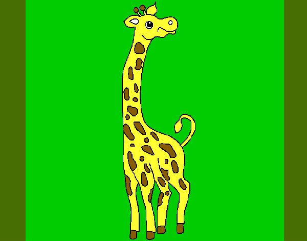 Desenho Girafa pintado por suzani