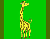 Desenho Girafa pintado por suzani