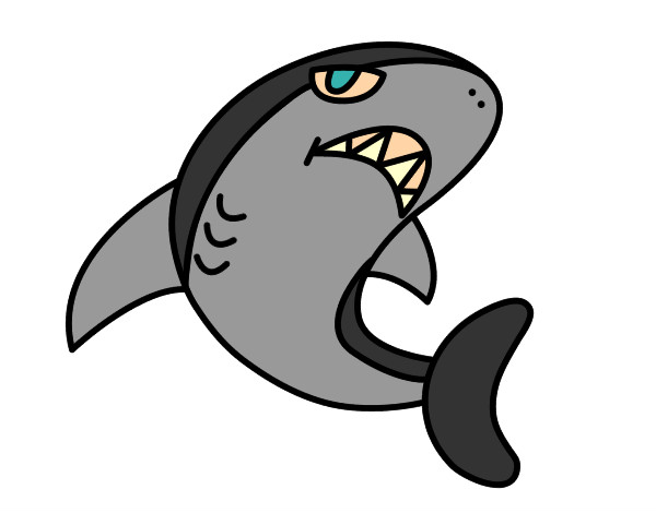 Desenho Tubarão nadando pintado por pinipon