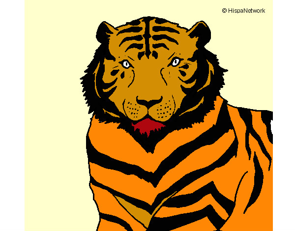 Desenho Tigre pintado por thainabn