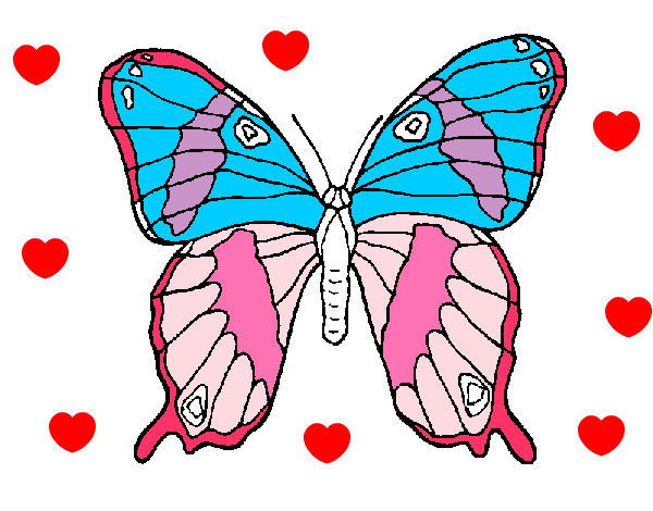 borboleta do amor