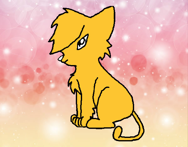 Desenho de Gato com franja para Colorir - Colorir.com