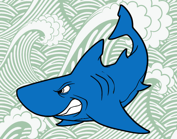 Desenho Tubarão furioso pintado por victo
