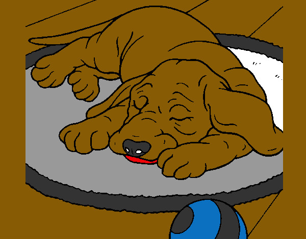 Desenho Cão a dormir pintado por gabii