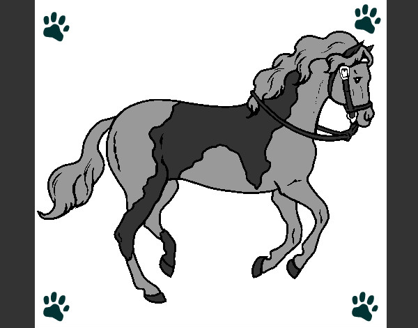 Desenho Cavalo 5 pintado por gabii