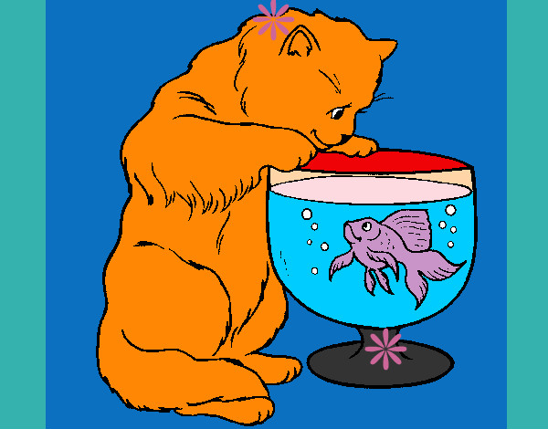 Desenho Gato a olhar para o peixe pintado por keli