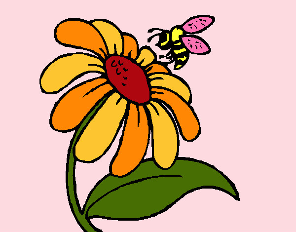 Desenho Margarida com abelha pintado por Ninanina