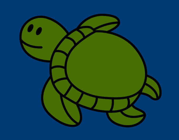 Desenho Tartaruga nadando pintado por visjn