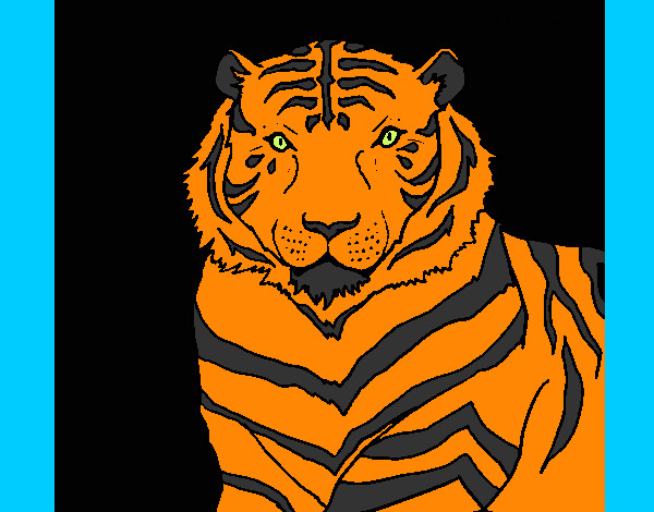 Desenho Tigre pintado por edineiacg