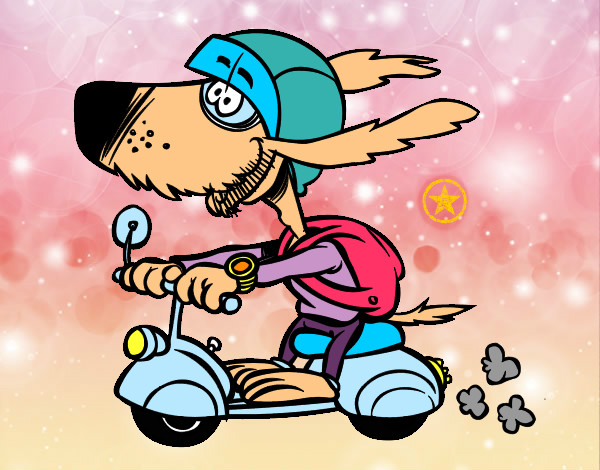 Desenho de Cão motociclista para Colorir - Colorir.com