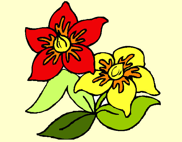 Desenho Flores 3 pintado por baci