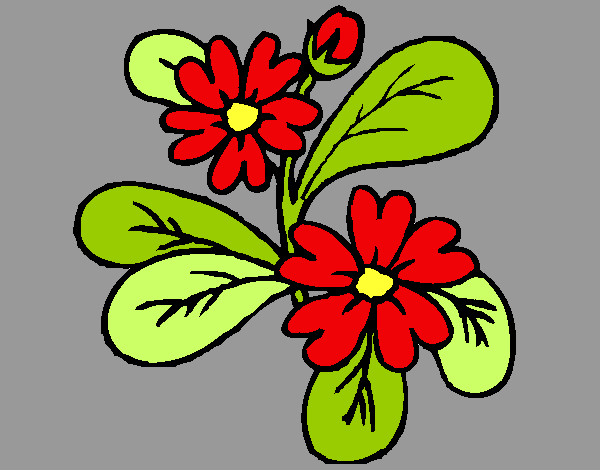 Desenho Flores 4a pintado por baci