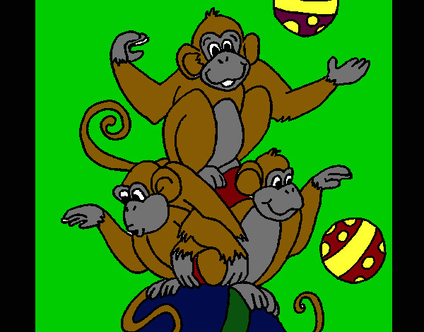 macacos